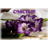 СЧАСТЬЯ!