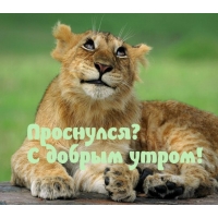 С добрым утром!