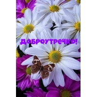 Доброутречко!