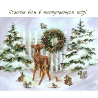 Счастья вам в наступающем году!