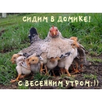   !   :))