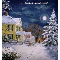 Доброй зимней ночи!