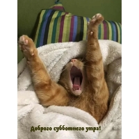   !