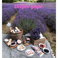 Доброе утро