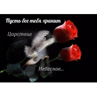 Пусть бог тебя хранит