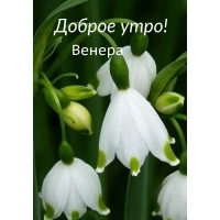 ,  !