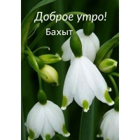 ,  !