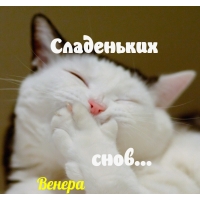 ,  !