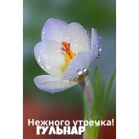 ,  !
