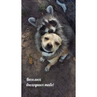 Веселых выходных тебе!