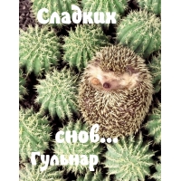 ,  )
