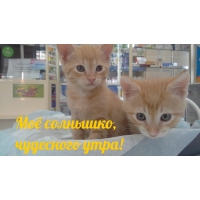  ,  !