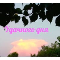 Удачного дня