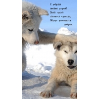 С добрым  зимним утром! День пусть  сложится чудесно