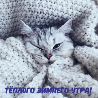 Ҹ  !