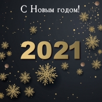 С Новым годом! 2021