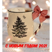    2021