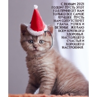  2021       