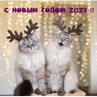    2021 :)