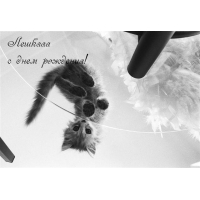 Лешка с днем рождения!