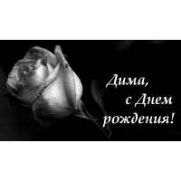 Дима, с днем рождения