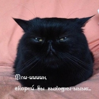 Скорей бы выходные