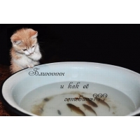 ,    ?