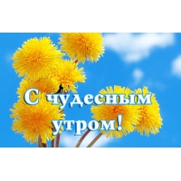   !