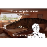   ,true story, bro