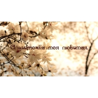 ��������� ��� �������