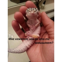 , - !