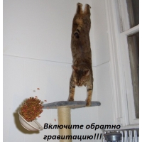   !!!