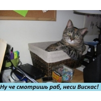,  !
