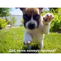Дай хоть камеру протру