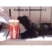 Вдруг не заметят!