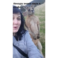 Кенгуру знает толк в селфи...