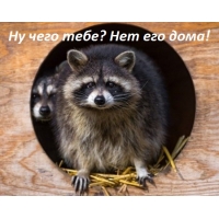   ?   !