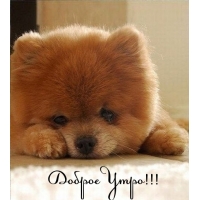 Доброе Утро!!!