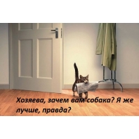    , ?