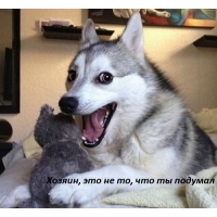   ,   