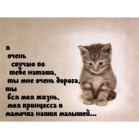   , 