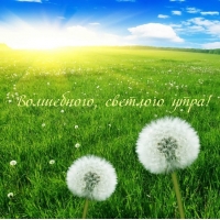 Волшебного, светлого утра!