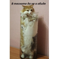   ,   
