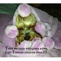 Спит Тимоша сладким сном