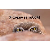    !