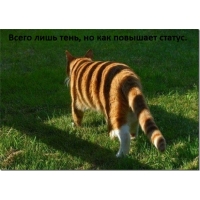 ,  ""  