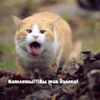 !!!  !
