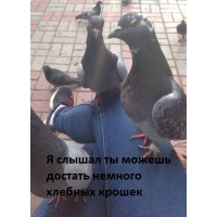 ,   ?