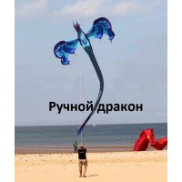Ручной дракон
