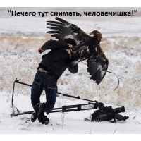 Не снимай без разрешения